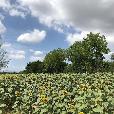 Alojamento de Turismo Rural La Renaia *